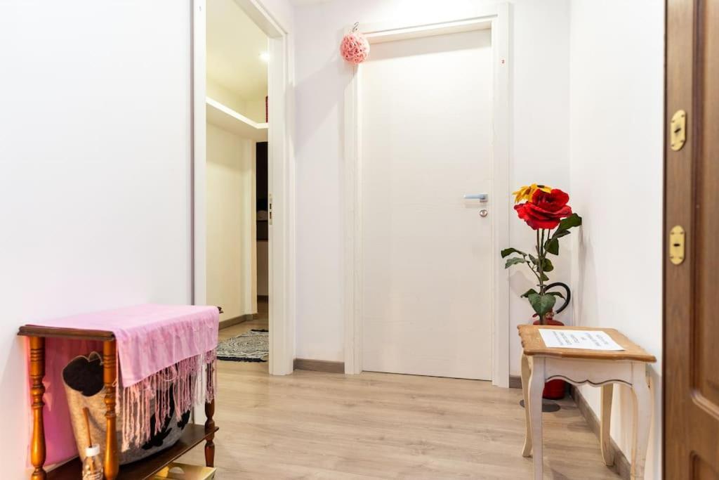 Guesthouse Pet'S Friendly Quattromiglio Luaran gambar
