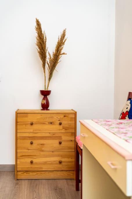 Guesthouse Pet'S Friendly Quattromiglio Luaran gambar